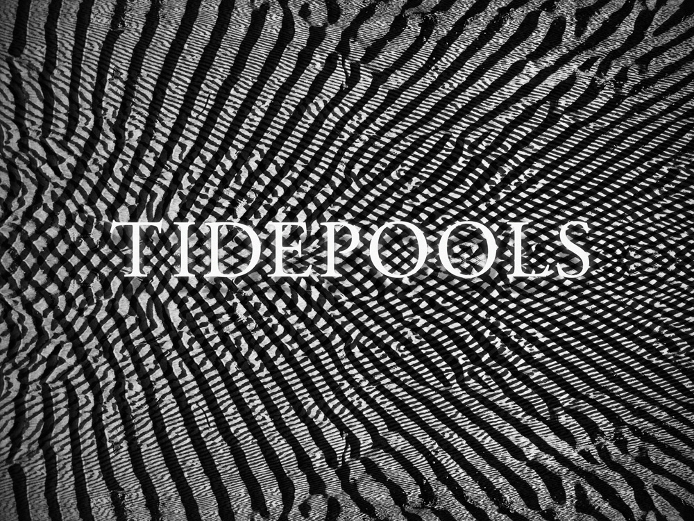 lukevanvoorhis-witnessthis-tidepools-pattern
